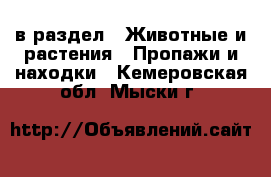  в раздел : Животные и растения » Пропажи и находки . Кемеровская обл.,Мыски г.